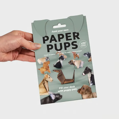 ✨Easy DIY Paper Cats Kit | Guided Lines & Instructions Included
