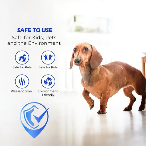 🧴 Clean-llx Floor Restorer – Shine & Protect Instantly 🏠