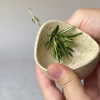 Pottery Herb Stripper - BUY 3 GET 20% OFF&FREE SHIPPING