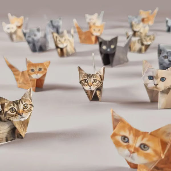 ✨Easy DIY Paper Cats Kit | Guided Lines & Instructions Included